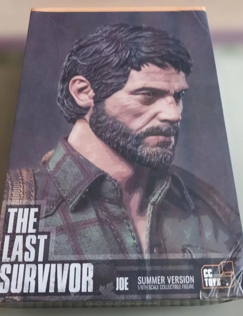 CCTOYS The Last Survivor JOE Summer ver. 1/6 scale shipping worldwide included! - Image 2