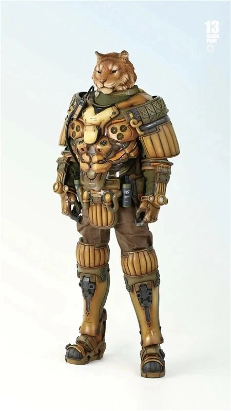 BLACK 13 PARK Tiger Action Figure B13 Collections 1/6 scale FREE SHIPPING - Image 5