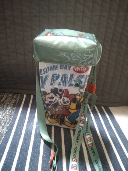Tokyo Disney Resort Mickey & Friends Popcorn Case Bucket AWESOME DAY Used