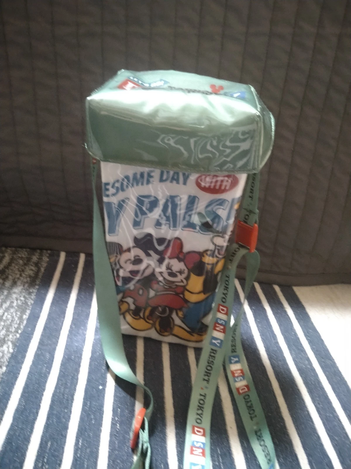 Tokyo Disney Resort Mickey & Friends Popcorn Case Bucket AWESOME DAY Used - Image 2