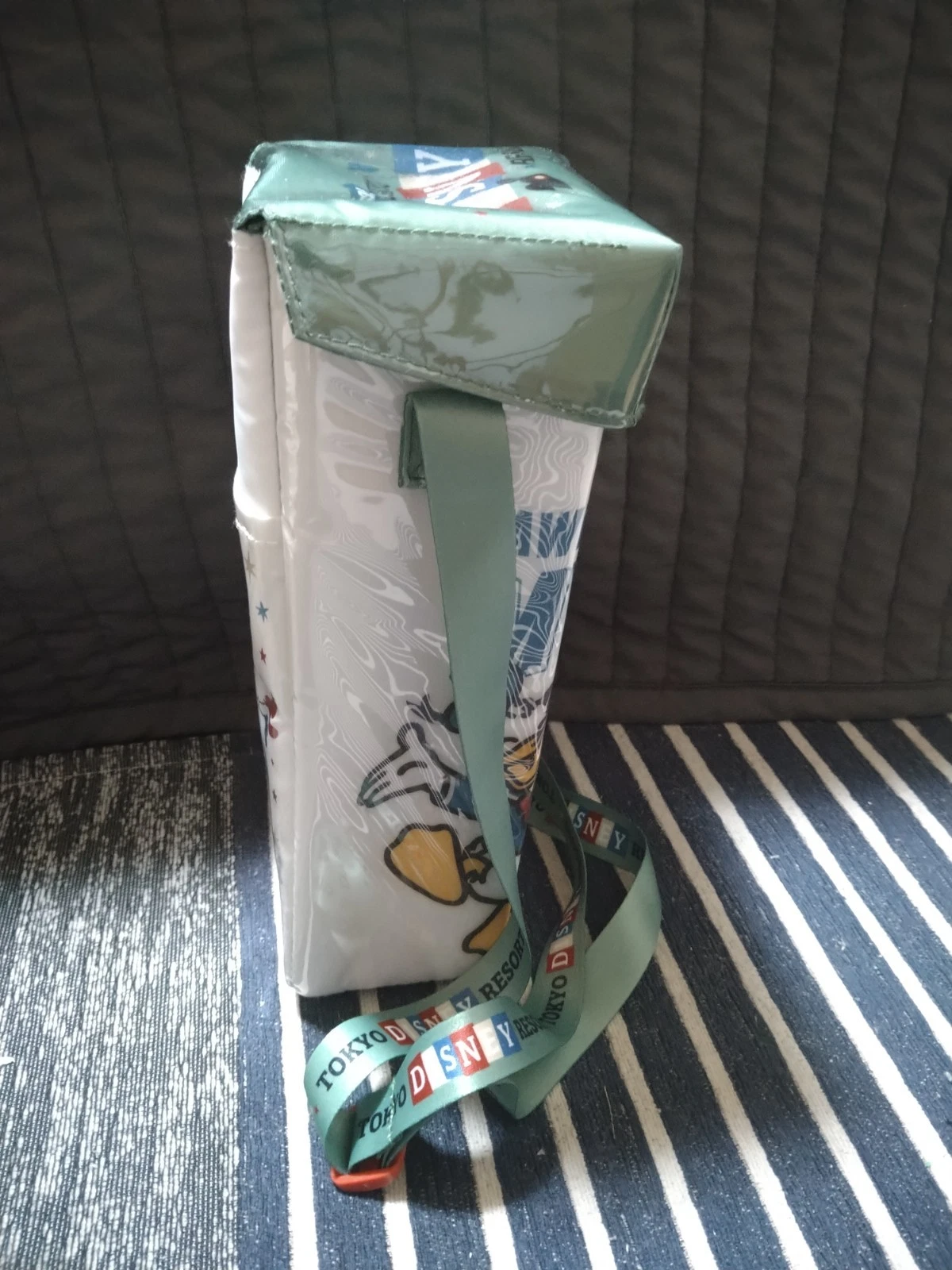 Tokyo Disney Resort Mickey & Friends Popcorn Case Bucket AWESOME DAY Used - Image 4