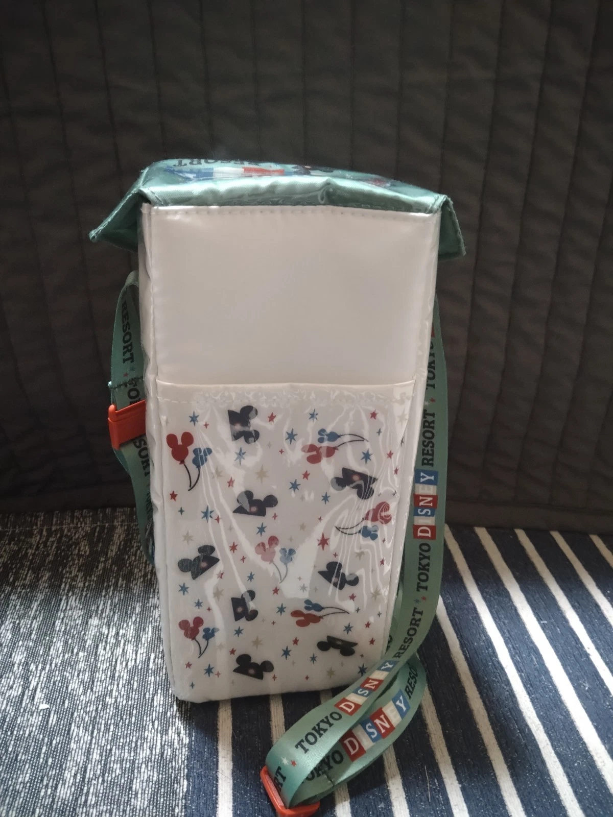 Tokyo Disney Resort Mickey & Friends Popcorn Case Bucket AWESOME DAY Used - Image 5