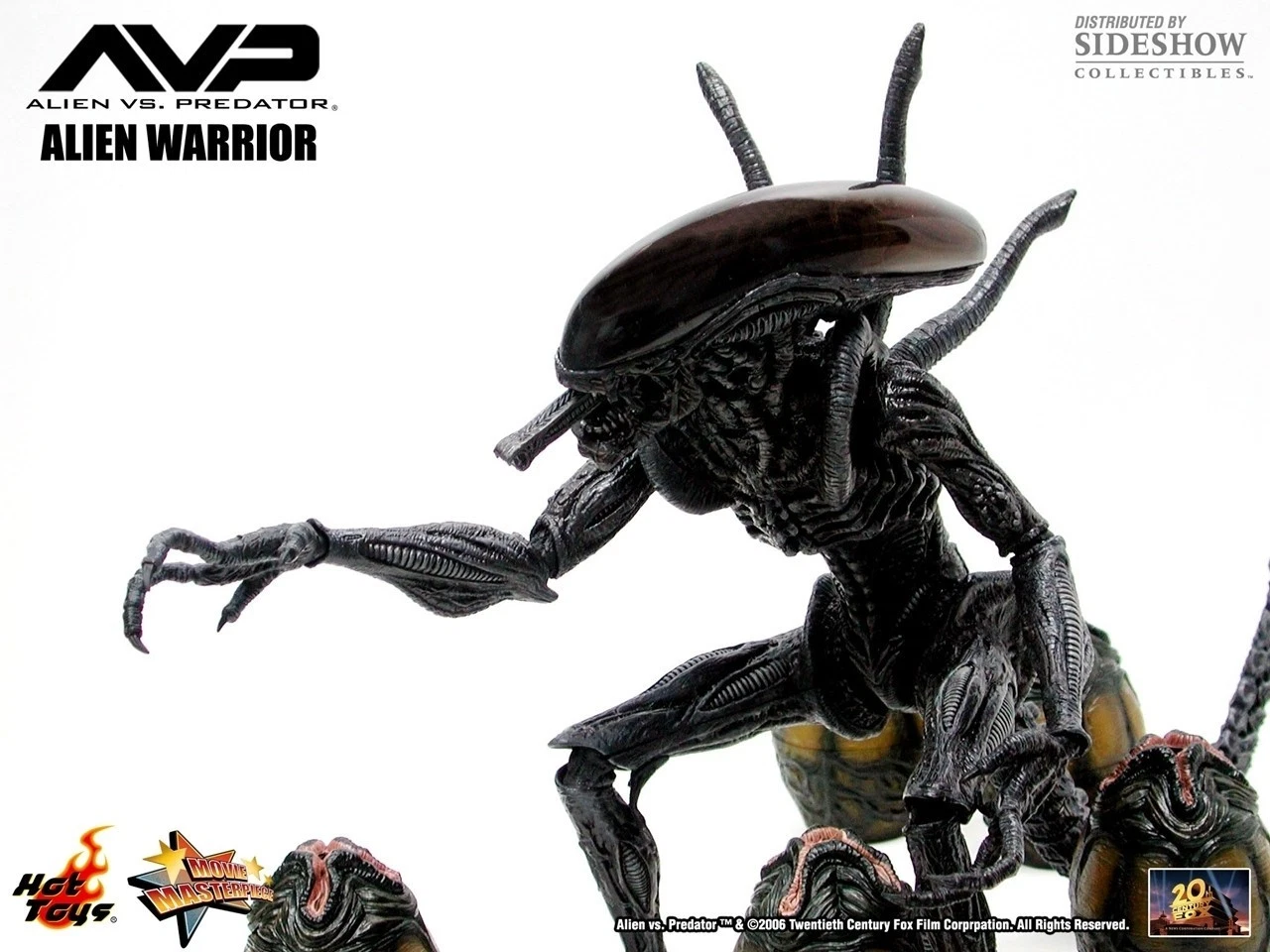 Hot Toys 1/6 Alien Warrior Special Features AVP MMS17 FREE SHIPPING worldwide