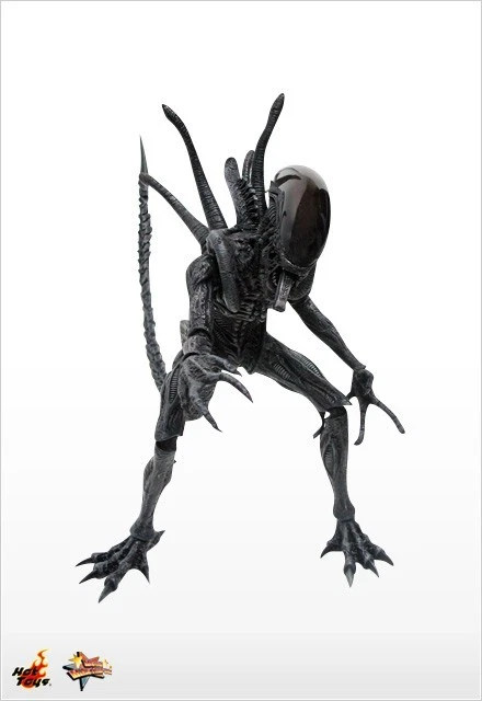 Hot Toys 1/6 Alien Warrior Special Features AVP MMS17 FREE SHIPPING worldwide - Image 2