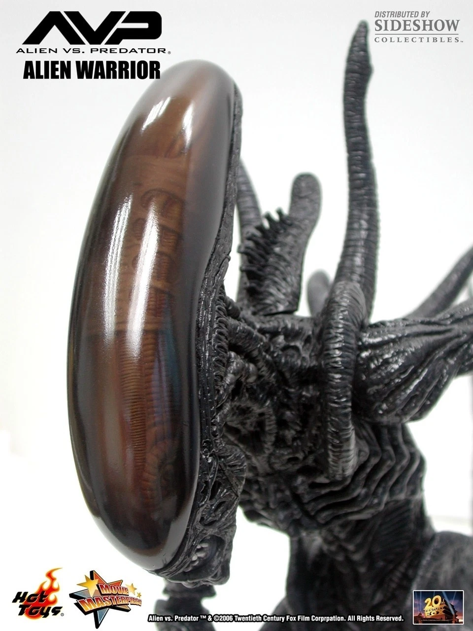 Hot Toys 1/6 Alien Warrior Special Features AVP MMS17 FREE SHIPPING worldwide - Image 3