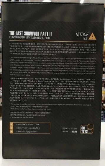 CCTOYS The Last Survivor JOE Part II 1/6 scale shipping worldwide included! - Image 2