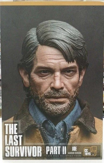 CCTOYS The Last Survivor JOE Part II 1/6 scale shipping worldwide included! - Image 4
